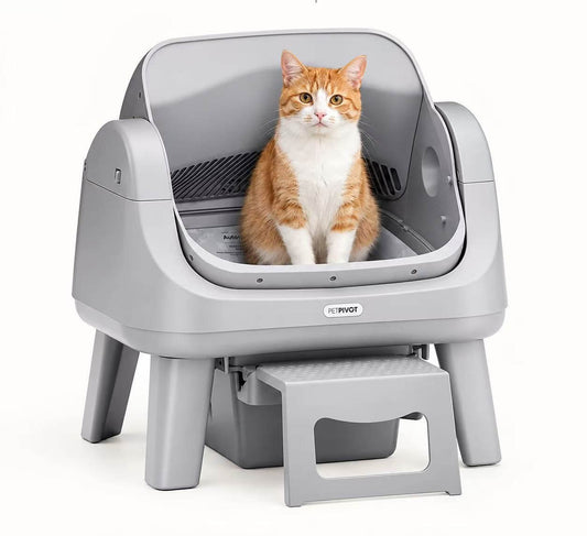 Automatic Self-Cleaning Cat Litter Box – Open-Top Hands-Free Design with Easy-Entry Front Step, Triple Safety Protection & No App Required for Convenient Pet Care
